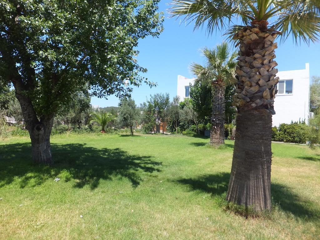 Aytas Hotel Ayvalı Extérieur photo