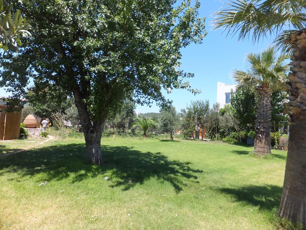 Aytas Hotel Ayvalı Extérieur photo