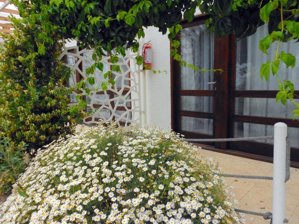 Aytas Hotel Ayvalı Extérieur photo