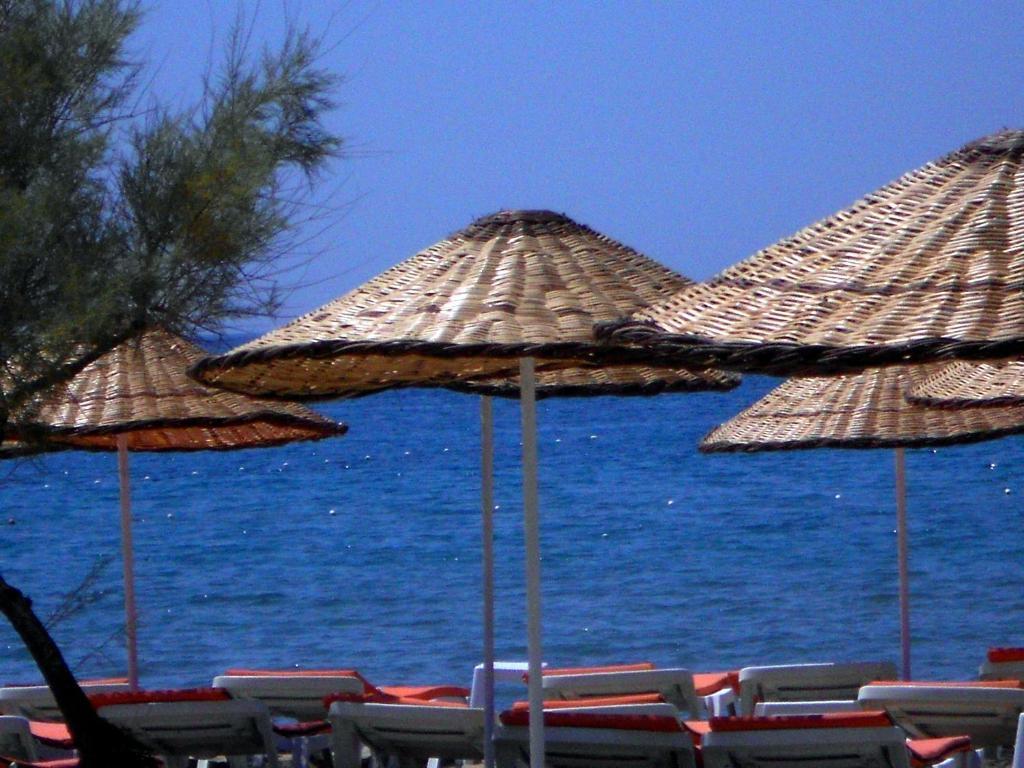 Aytas Hotel Ayvalı Extérieur photo